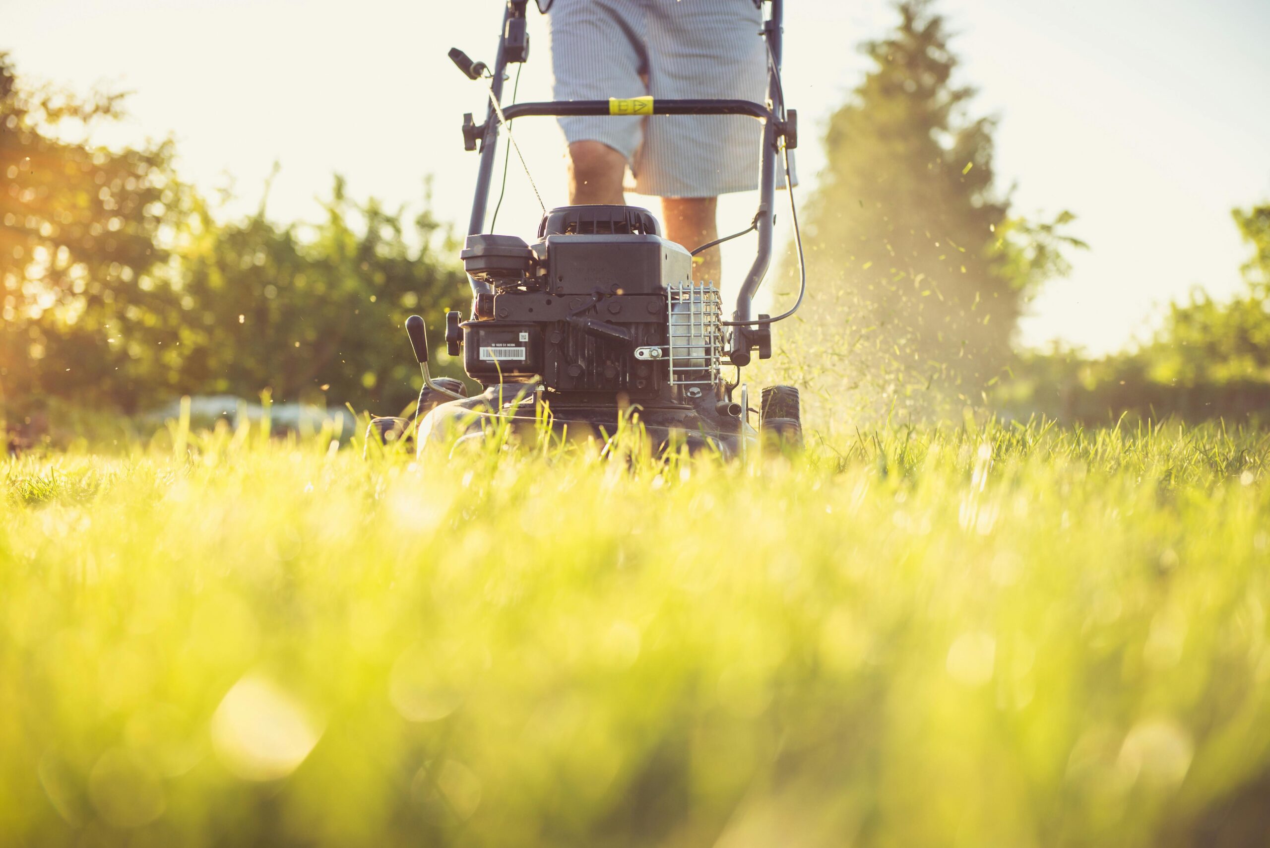 Garten Unterhalt Malerarbeiten Schädlingsbekämpfung Zürich ANR Facility Services AG